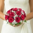 Embodying the essence of a Stanmore love story, this bridal bouquet radiates timeless charm and devotion. In the bride's gently curved hands lies a rounded cluster of velvety red roses, their rich petals unfolding in layers to reveal the depth of their colour-each flower a testament to romance's enduring magic. Wisps of snowy gypsophila, or baby's breath, weave through the arrangement, adding softness and a bouquet's breath-of-fresh-air feel reminiscent of Stanmore's leafy lanes and elegant gardens. Sprigs of vibrant green leaves accent the composition, grounding the exuberance of the blooms with a subtle natural edge. The bride herself appears poised and serene; her white or ivory wedding dress boasts delicate lace or embroidered textures across the upper bodice and is completed by a softly flowing sash that catches the gentle daylight. Behind, the softly blurred, neutral background creates a tranquil stage for bouquet and bride-every detail crafted to convey warmth, optimism, and the quiet anticipation that marks a Stanmore wedding day. Through the skill of Flower Delivery Stanmore, this bouquet becomes both a symbol and celebration of enduring love, ready to begin a fresh chapter in the heart of the local community.