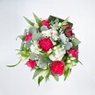 A lush, round bouquet is photographed from directly above against a crisp white background, allowing every colour and texture to stand out in vivid detail. At the heart of the arrangement, richly ruffled hot pink carnations form generous clusters, their densely layered petals creating a soft, almost cloud-like volume that feels joyful and full of life. Nestled among them are deep pink and fuchsia roses, some fully open with elegantly spiralled centres, others still in tight bud, suggesting blossoms yet to come and adding a gentle sense of anticipation. Scattered throughout, tiny white spray chrysanthemums and other daisy-like blooms gather in small mounds, their neat petals offering a fresh, clean contrast to the bold pink tones. Airy stems of white baby's breath weave between the larger flowers, giving the bouquet a light, floating quality, while a few long, slender white buds, reminiscent of alstroemeria or lily flowers, rise delicately from the canopy of petals. Surrounding this tapestry of pinks and whites, the greenery is abundant and thoughtfully layered: rounded, silvery-green eucalyptus leaves bring a cool, calming note and a smooth, slightly waxy surface, while bright green linear leaves add lift and movement. Darker, broader foliage, likely folded aspidistra, is skillfully curved into a structured collar, cradling the bouquet and framing it like a living wreath. The lighting is bright and even, reminiscent of a clear Stanmore morning, sharpening every edge and colour so the bouquet almost seems to glow. It feels like a perfect arrangement to send congratulations, celebrate a birthday, or brighten a home near Canons Park, offering a spirited yet tender gesture of affection and joy.