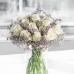 A serene bouquet of creamy white roses and lilac-tinted limonium stands in a clear cylindrical glass vase, captured in soft, natural daylight as if placed near a bright window in a quiet Stanmore home. Each rose is fully open yet still composed, its velvety petals forming perfect spirals that glow gently against the pale lavender haze of the limonium. The filler flowers create a mist-like halo around the central blooms, tiny star-shaped blossoms and fine branching stems giving the arrangement an airy, almost ethereal quality. Through the transparent vase, the clean green rose stems are visible in clear water, neatly trimmed and aligned, suggesting careful professional preparation and lasting freshness. The overall palette is cool and calming: ivory, soft cream, and delicate lilac, with just enough green to feel natural and uplifting. The light seems to fall from one side, leaving subtle shadows on the petals and giving the flowers a three-dimensional, almost touchable presence. This arrangement feels ideal for a peaceful condolence gesture delivered to a home off Marsh Lane, a thoughtful get-well gift for someone resting after a walk in Stanmore Country Park, or a simple, refined accent on a minimalist sideboard. The imagined scent is gentle and comforting-a whisper of classic rose mingled with the faint herbal note of limonium, evoking early spring mornings and open windows. Seen as a whole, the bouquet radiates quiet reassurance and understated elegance, a versatile piece that brings a moment of calm beauty to everyday life in and around Stanmore.