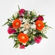 This vibrant arrangement brings together the celebratory mood of Stanmore's close-knit community and its lush, green surroundings. The bouquet is crowned by three bold orange Gerbera daisies, their yellow-green eyes shining like sunlit marigolds in Bentley Priory. Sprinkled throughout are velvety roses in glorious fuchsia and magenta, each one either elegantly unfurling or standing poised in tight bud, imbuing the bouquet with emotion and romance. At the heart, a gentle rose in creamy peach provides soft contrast, anchoring the brighter hues with sophistication. White alstroemeria and billowy clouds of white spray chrysanthemums add a dash of elegance and lightness, echoing morning mists over Stanmore Common. Encased in lush, dark green leaves, the bouquet feels abundant and harmonious-a nod to Stanmore's natural beauty and vibrant seasons. Thoughtfully designed, this bouquet is perfect for brightening a friend's home, celebrating milestones, or sending a burst of cheer, with swift local delivery ensuring peak freshness across Stanmore.