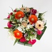 Evoking the spirit of a joyful Stanmore morning, this vivid bouquet bursts forth with expressive colour and gentle warmth. Orange Gerbera daisies stand proud at the centre, their bold petals radiating vivacity, while underlying peach blooms provide a softer glow that complements the neighbourhood's peaceful gardens. The charming swirl of magenta and blush roses, as well as plush burgundy varieties, lend romantic depth as their petals unfold gracefully among the more playful, ruffled hot pink carnations. Here and there, clouds of dainty white spray chrysanthemums infuse lightness, supported by pristine white lily buds that rise delicately-a symbol of growth often mirrored in Stanmore's changing seasons. All of these flowers are framed by lush green and silvery eucalyptus leaves, whose fresh scent and texture remind one of wild bouquets gathered along the outskirts of Stanmore Park. Each shade and shape is consciously curated, reflecting celebration and the simple delight found in community gatherings. Ideal for birthdays, congratulations, or simply sending cheer, this bouquet-crafted with love by Stanmore's own talented florists-offers a vibrant reminder of thoughtfulness and brightens any space. Its balanced energy and layered appeal are as welcoming as a friendly greeting on Stanmore's leafy avenues.