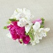 A compact, hand-crafted floral arrangement lies horizontally on a softly textured, pale beige fabric, similar to fine linen, creating a calm, neutral stage for the colours to glow. At the heart of the design, a single lush fuchsia peony is fully open, its densely layered, ruffled petals forming a rich, almost cloud-like centre that draws the eye immediately. Around this bold bloom, several white alstroemeria-Peruvian lilies-unfold gracefully, each trumpet-shaped flower marked with delicate maroon streaks and freckles deep in the throat, like tiny brushstrokes of ink. Slim, fresh green buds and spiky florets weave between the blossoms, adding height, texture, and a sense of movement, as though the stems were just gathered from a Stanmore garden after a light spring shower. The stems are neatly aligned and wrapped in a bright pink satin ribbon, its smooth, glossy surface catching the light and echoing the vibrant magenta tones of the central peony. Soft, even lighting reveals the fine veins in each petal and the subtle shadows cast across the cream fabric, giving the arrangement a gentle, romantic presence. The overall feeling is intimate and celebratory, perfectly suited to a wedding boutonniere, corsage, or bridesmaid posy for a ceremony near Stanmore Country Park or along The Broadway. You can almost imagine this little cluster of colour being pinned to a lapel or cradled in a hand as guests arrive, the flowers cool and fresh to the touch, carrying the quiet excitement of a special day just beginning.