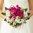 A close-up photograph captures a bride or wedding guest cradling a round, jewel-toned bouquet against the soft, matte texture of a white wedding gown, the fabric subtly rippled like light over Stanmore Hill. At the heart of the arrangement, large fuchsia and deep magenta peonies dominate, their layered, ruffled petals tightly packed to create a plush, almost cloud-like dome of colour. These velvety blooms are interlaced with crisp white alstroemeria, each slender petal marked with fine maroon speckles and brush-like streaks that draw the eye into the throat of the flower, adding a touch of intricate pattern reminiscent of the delicate detailing on lace. Threaded between the peonies and lilies are vivid green, spiky buds and filler flowers, their upright forms and fresh tones injecting movement and brightness, much like fresh foliage seen on an early summer walk through Stanmore Country Park. Deep, glossy green leaves fan out around the edges of the bouquet, framing the composition and giving it a finished, professional feel. The bride's hands, with neatly manicured, pale pink nails, gently clasp the stems, their soft curve lending a sense of calm and quiet joy. The background is softly blurred, ensuring that the eye rests on the vivid interplay of magenta, white, and green, and on the tactile mix of smooth petals, textured buds, and polished leaves. This image conveys the intimate emotion of a wedding day in Stanmore-elegant, celebratory, and filled with carefully chosen flowers that seem freshly arranged that morning by a local florist who understands how important this moment really is.