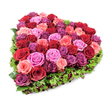 A lush, heart-shaped tribute sits crisply against a pure white background, photographed from a slightly elevated angle so the full, plush form reads clearly. At its centre a dense mosaic of garden roses - each bloom at the peak of freshness - unfolds in a rich spectrum: velvety crimson and wine-burgundy tones mingle with softer blush pinks, brighter fuchsia highlights and touches of deep purplish-magenta that catch the light. Petals range from tightly furled buds to gently unfurling cups, creating a tactile surface of ruffled layers that suggests both warmth and careful restraint. Encircling this floral core is a fine, deep-green fringe of textured foliage - delicate carnation-like leaves or feathery sprigs - which frames the heart with a vivid, organic outline and helps each colour sing against the white. Small, dark red or burgundy berry accents nestle discreetly in the foliage, adding depth and a whisper of contrast that draws the eye inward. The lighting is bright and even, revealing the velour sheen on each petal and the subtle shadows between blooms, while the white backdrop removes distraction and makes the arrangement read as a single, elegant symbol. As a florist I note the careful density and balance: no voids, abundant bloom, and a design that can function as an intimate declaration of love, a tender sympathy piece, or a celebratory keepsake. The overall impression is one of considered craftsmanship - a floral heart that feels both opulent and comfortingly sincere, suited to moments of romance, remembrance, or quiet celebration in the Stanmore area and beyond.