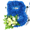 A striking floral letter B serves as the central focus of this funeral tribute, standing out clearly against a plain white background that adds a sense of stillness and reverence. The letter's entire surface is densely covered with royal blue chrysanthemums, each bloom layered with fine, curved petals that create a soft, textured finish. The blue tones are deep and luxurious, with subtle variations that give the arrangement a rich, almost velvety look, as though the flowers form a continuous carpet of colour. Outlining the outer and inner shapes of the B is a delicate frill of white ribbon, carefully pleated and attached so it follows every curve and hollow precisely. This ribbon border adds clarity and refinement, allowing the initial to be read easily while also lending a formal, respectful air. Anchored at the lower left side of the letter is a small accent bouquet that softens the strong blue. In this cluster, creamy white roses-some in tight, rounded buds, others beginning to unfurl-are interwoven with dainty white spray chrysanthemums resembling tiny daisies. They rest on a bed of lush greenery, including feathery fern fronds and broader, slightly variegated leaves, which stretch gently outward and add a sense of freshness and balance. The composition feels thoughtful and composed, perfectly suited for a memorial or funeral service in Stanmore or nearby areas like Queensbury and Harrow Weald. It is easy to picture this initial created by Flower Delivery Stanmore, then delivered with care to a local chapel or crematorium, conveying a quiet yet powerful message of remembrance, gratitude, and enduring affection for the person it represents.
