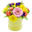 A joyful spring flower hatbox arrangement is shown against a pure white background, its colours brimming with the light-hearted spirit of Easter in Stanmore. The bouquet forms a compact, domed shape, with blooms placed closely together so that the overall impression is one of abundance and softness. At the centre front, a generous soft pink Gerbera daisy takes the spotlight, its perfectly arranged petals circling a pale green centre that adds a fresh, youthful touch. Surrounding this main flower, bright yellow daisy-like chrysanthemums open wide, their narrow petals shooting outwards like rays of sunshine spilling over local gardens and pathways. Between these lively yellows, coral-orange carnations layer their ruffled petals, introducing a plush, textured note and a gentle warmth that feels comforting and familiar. Deep violet lisianthus blossoms, some more open and some still in bud, are threaded thoughtfully through the design, their rich tones providing a graceful counterpoint to the pastel hues. Lush green foliage, including a few delicately variegated leaves edged with creamy white, acts as a soft frame, supporting the flowers and giving the whole arrangement a just-picked freshness. The blooms emerge from a cylindrical pastel lime-green hatbox, whose sides are decorated with scattered pastel Easter eggs in tones of pale blue, blush pink, white, and soft green, many accented with tiny dots and stripes that add playful detail. This combination of charming container and vibrant flowers makes the arrangement perfect for decorating an Easter table in a Stanmore home, sending seasonal greetings, or offering a bright, hopeful gesture to someone special in the local area.