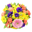 A bird's-eye view reveals a vibrant circular bouquet set against a smooth white background, the flowers tightly clustered to form a rich tapestry of colour and form. A single pink gerbera daisy at the lower centre acts like a gentle anchor, its layered petals soft and regular, surrounding a textured centre of greenish-yellow that seems almost to glow. Radiating outward, bright yellow chrysanthemum daisies gather in generous clusters, their fine, radiating petals and light green centres evoking small bursts of sunshine, reminiscent of bright afternoons around Stanmore's leafy residential streets. Threaded between these are indulgent lisianthus blooms in deep indigo-purple, some fully open with curled, velvety petals and visible stamens, others still in bud, providing depth and a cool, sophisticated note. Coral-orange carnations are interspersed throughout, their frilly, ruffled petals adding softness and a sense of playful movement, as though a light breeze had just passed over the bouquet. Fresh greenery, including glossy leaves and a few cream-edged variegated stems, peeks from the edges, framing the brilliance of the blooms and giving the design a natural, garden-picked character. The lighting is bright, clear, and even, revealing every petal edge and leaf vein without harsh contrast, making the colours appear pure and inviting. The emotion conveyed is one of joy, warmth, and celebration, making this mix perfect for birthdays, congratulations, or simple acts of kindness for friends and family throughout Stanmore. Lovingly crafted by Flower Delivery Stanmore, it showcases the careful eye of a local florist who understands how to create arrangements that feel both visually striking and deeply personal.