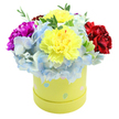A cheerful, compact bouquet spills luxuriously from a round, pastel yellow hatbox, photographed against a crisp white background so every colour and texture reads clearly. Two large, ruffled lemon-yellow carnations crown the centre-their frilled petals catching a soft, diffused light that emphasizes delicate tonal variations from pale butter to warm gold. Surrounding and cradling those sunny blooms is a generous halo of periwinkle-blue hydrangea, each tiny floret forming a cloud-like mass of powdery blue with hints of white at the edges. To the left a bold magenta carnation punctuates the composition with its saturated hue, while a velvety crimson-red carnation on the right adds depth and a warm counterpoint. Slender sprigs of fresh green foliage peek through the flowers, lending a natural texture and lively contrast that prevents the arrangement from feeling static.
The box itself is part of the design: a smooth, cylindrical paperboard in a soft lime-yellow, playfully decorated with irregular pastel polka dots in light blue, blush pink and pale green, some speckled with tiny white flecks-details that suggest spring, celebrations and thoughtful gifting. There's an audible sense of care in the arrangement: stems trimmed to sit at a perfect dome, colour balanced for both visual impact and gentle harmony. The scent is quietly floral-carnation's clove-like sweetness layered over the fresh, green breath of foliage-inviting a smile and a gentle inhale.
This bouquet feels suited to brightening a birthday, welcoming a new baby, or sending get-well wishes across Stanmore-carried from florist hands to a doorstep near Stanmore High Street or delivered to a bedside on Stanmore Common with the same careful touch.