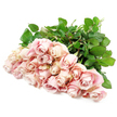A plentiful armful of pale blush roses rests in a soft arc across a bright white surface, the stems gathered neatly at one end and the blossoms spread out like a tender fan, recalling a bouquet set down in a tranquil Stanmore home. There are approximately two dozen roses, each bloom slightly different in its stage of openness: some remain as compact buds with tightly wrapped petals, while others have opened into layered rosettes, their centres still modestly concealed. The colour palette is soothing and elegant, blending dusty rose with gentle champagne pink and hints of creamy ivory along the petal tips. In the recesses of the blooms, cool lavender shadows settle, deepening the sense of depth and texture. The petals themselves seem velvety, inviting the touch, as though they would feel cool and smooth like fine fabric early in the morning. Rich, dark green foliage underpins the arrangement, with leaves that are broad, smooth, and slightly glossy, offering a lush counterbalance to the pastel blooms. Against the white background, this contrast lends the bouquet a sense of clarity and poise, not unlike the calm, open spaces around Stanmore Common on a quiet day. The imagined fragrance is light and reassuring, a soft floral whisper rather than a bold statement. The overall mood is one of gentle empathy and remembrance, making this style of arrangement especially fitting for sympathy deliveries in Stanmore and nearby Edgware, when families seek flowers that hold space for grief with quiet grace and unwavering tenderness.
