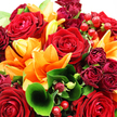 In this close-up image, a dramatic bouquet of red roses and orange lilies dominates the scene, arranged so densely that no background is visible, as if the flowers themselves are the entire world for a moment. At the centre, broad, fully bloomed red roses display their velvety petals in tight spirals, each layer curling gently inward and capturing that sense of enduring romance often chosen for special deliveries in Stanmore. Radiating around them, orange lilies open in wide, star-like shapes, their petals slightly recurved at the tips and glowing with warm, fiery tones that bring to mind late-afternoon light falling across Stanmore's leafy residential streets. Tucked between these prominent blooms are smaller rosebuds and petite roses in deeper crimsons and burgundies, adding shadows, depth, and an air of refined luxury. The entire composition is framed and intertwined with lush greenery: large, glossy leaves provide structure and support, while narrower, more textured stems weave among the flowers, softening their edges and giving the arrangement a natural, flowing look. A single, elegantly curled green leaf in the foreground acts like a gentle arrow, guiding the viewer's gaze inward. Clusters of round, ruby-red hypericum berries nestle along slender stems between the petals, their smooth, shiny surfaces catching subtle highlights and providing a pleasing textural contrast. The lighting is bright but diffused, showcasing the dewy freshness of the flowers, as though they have just been conditioned and arranged for same-day delivery across Stanmore, Belmont, and Canons Park. The bouquet feels warm, generous, and celebratory-perfect for expressing heartfelt affection, marking milestones, or simply brightening someone's day in the local community.