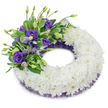 A profoundly tender circular funeral wreath, photographed against a soft white studio backdrop to highlight its quiet dignity. The main body is a thick, continuous ring of pristine white cushion chrysanthemums, each bloom tightly nestled so their ruffled petals form a seamless, cloud-like surface that reads as purity and repose. Along the upper-left quadrant a carefully placed spray of purple Eustoma (lisianthus) rises with gentle asymmetry: deep violet fully open flowers sit beside paler lavender buds on slim stems, their layered petals offering a velvety contrast to the matte chrysanthemum cushion. Interwoven between the lisianthus are fresh greens - broad glossy leaves with pale variegation and finer fern-like fronds - that introduce natural texture and a cooling, living tone against the white. Just beneath the chrysanthemum ring a narrow, crinkled mesh of dark purple ribbon peeks out on both inner and outer rims, adding a refined shadowed edge that echoes the lisianthus hue without overpowering the composition. The arrangement casts a soft, diffused shadow on the background, lending depth and presence while keeping the focus on the wreath's circular symbolism of continuity and memory. Imagine this tribute laid at a service in Stanmore, perhaps near the tranquil lawns of Stanmore Common or at the family church off Marsh Lane; its restrained purple accents speak of respect and remembrance rather than spectacle. The overall effect is one of quiet craftsmanship - a sympathetic, enduring floral expression meant to comfort and honour, described here for someone who cannot see its delicate textures and subtle colour harmonies in person.