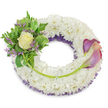 A serene, circular sympathy wreath rendered with the soft precision of a seasoned Stanmore florist, photographed against a clean white background so every texture and hue reads clearly. The wreath's substantial body is composed of densely packed white chrysanthemums, their countless small florets forming a cloud-like, velvety surface that suggests peace and quiet reflection. Beneath those white blooms a subtle band of deep purple mesh or netting peeks through along the inner curve, giving the composition a refined depth and a whisper of dignified colour. On the upper-left quadrant, an intimate cluster draws the eye: a single, perfectly formed cream-to-pale-yellow rose opens gently at its centre, its flesh-soft petals catching a cool, soft light. Surrounding the rose is a layered mix of green foliage - broad variegated leaves with lighter margins, glossy salal-like shapes, and delicate, feathery fern fronds - all woven together with tiny sprays of lavender-purple statice that add a quiet, papery texture. Balancing this cluster on the right, from roughly two o'clock to five o'clock, two sculptural calla lilies arc gracefully over the chrysanthemum base; their trumpet blooms show a luminous gradient, moving from a rich, muted purple at the tips through to soft peach-pink and blush nearer the throat. Bright green stems curve beneath them, one longer stem from the left cluster crossing the lower wreath and tucking close to the callas, a subtle line that unites the design. This wreath reads as a compassionate tribute, often chosen for memorials and graveside services around Stanmore, from Canons Park to Stanmore High Street, offering a composed expression of remembrance and calm.