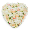 Seen from a gentle overhead angle on a pristine white backdrop, this heart-shaped floral tribute settles into view as a soft, tactile landscape. Dense clusters of pristine white hydrangea form a billowing, cloud-like base, their tiny, ruffled petals catching the light and creating a plush texture beneath a generous scatter of roses. The roses vary from tightly furled buds to fully opened cupped blooms, their petals ranging in colour from radiant white and warm ivory to pale peach and tender blush pink, producing a muted, elegant gradient across the heart. Subtle swathes of deep green, slightly variegated foliage peek through at the edges and between blooms, giving the design a fresh, grounded counterpoint and hinting at the cool, green scent beneath the sweeter rose perfume. The arrangement's three-dimensionality is suggested by a soft shadow along its lower curve, revealing meticulous floral construction and the careful layering a professional florist would use to achieve seamless fullness. The overall feeling is one of quiet tenderness and refined comfort - a composition suitable for a funeral tribute, memorial service, or an intimate celebration of enduring love. Imagined as a premium, fresh-cut creation prepared locally in Stanmore, it resonates with the soft, understated palettes favoured for moments of remembrance. A viewer might sense the delicate fragrance of rose and the gentle, airy presence of hydrangea, as if the heart itself were breathing out compassion. This piece reads as both handcrafted and timeless, an emblem of soft devotion rendered in petals and green, ready for thoughtful delivery across Stanmore and nearby neighbourhoods such as Canons Park and Stanmore Broadway.