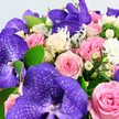 The image offers an intimate, close-up view of an opulent bouquet that could easily be en route from Flower Delivery Stanmore to a special celebration nearby. The arrangement is dominated by several large purple Vanda orchids, whose broad, velvety petals are intricately patterned with a darker lattice of violet, creating a mesmerising, almost mosaic-like effect. Nestled around these standout orchids are sumptuous roses in a spectrum of soft, romantic shades: blush pink with delicate, curling edges; richer medium pinks that add warmth; and creamy white blooms whose centres glow with the faintest touch of pale yellow. Some roses sit in tight, promising buds, while others open generously, their layered petals forming cushioned, almost cloud-like centres. Dotted between the blooms are clusters of smooth, ivory Hypericum berries, round and waxy, adding a subtle contrast in both shape and sheen. Fine white filler flowers, likely tiny chrysanthemums or button blossoms, are sprinkled throughout, enhancing the bouquet's lush volume and giving gentle highlights, like dappled light along the paths of Stanmore Country Park. The foliage is a careful mix of glossy green leaves and feathery, silver-green sprigs reminiscent of Dusty Miller, the silver tones cooling the overall palette and adding a soft, tactile depth. Set against a simple white background, the interplay of purples, pinks, creams, greens, and silvery hues feels calm yet undeniably luxurious. It is easy to imagine this bouquet delivering comfort and joy for an anniversary dinner on The Broadway, a birthday surprise at a family home near Marsh Lane, or a quiet gesture of appreciation, with the muted scent of roses and fresh stems gently filling the room.