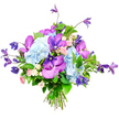 Against a clean white background, this hand-tied bouquet stands out as a carefully balanced play of colour, form, and texture. The core of the arrangement is formed by large, cloud-like clusters of pale sky-blue hydrangea, their numerous tiny petals packed together in generous, rounded heads that immediately convey softness and fullness. Woven among these are striking orchids in bold fuchsia and deep purple shades, most likely Vanda or Phalaenopsis, each petal marked with intricate speckling and veining that adds an exotic, high-end touch. From within and around this central mass, deep purple clematis blooms rise on slender, arching stems, their star or bell-shaped flowers introducing a sense of movement and height, like climbing vines you might see in well-tended gardens along Stanmore Hill or near Canons Corner. Tucked in between, miniature roses in blush pink and creamy white offer a gentle counterpoint, their small, layered blooms evoking romance, affection, and subtle sweetness. Lush green foliage encircles and threads through the bouquet, featuring broad, glossy leaves that provide contrast and a fresh, natural frame for the cooler hues. At the bottom, the stems are neatly bundled and tied, clearly revealing the skilled, hand-crafted approach typical of a professional local florist in Stanmore. The overall mood is one of relaxed elegance and celebration, making this design perfect for birthdays, anniversaries, or a thoughtful gesture to brighten a home or office anywhere across the HA7 area.