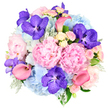 This exquisite bouquet, styled into a lush, rounded dome and photographed against a clean white background, captures the kind of quiet luxury that suits many of Stanmore's elegant homes and celebrations. At the centre, large pastel pink peonies bloom generously, their ruffled petals layered into full, rounded shapes that convey softness, romance, and a sense of cherished intimacy, as if chosen for a special dinner on The Broadway. Around them, plentiful clusters of sky blue hydrangeas add a cool, pillowy base, each compact floret contributing to a sense of volume and calm that gently balances the bouquet's warmer tones. Scattered throughout, vivid Vanda orchids in rich fuchsia and purple bring an unexpected pop of drama, their speckled and veined petals offering intricate detail and an exotic touch that instantly captures attention. Elegant coral pink calla lilies arc gracefully through the composition, their trumpet-shaped blooms creating flowing lines that introduce movement and a sleek, modern profile. To soften the gaps, small spray roses in light pink and creamy white nestle between the larger flowers, their dainty, clustered blossoms adding classic charm and a suggestion of delicate fragrance drifting through the air. A halo of foliage frames the bouquet, with silvery-green dusty miller and deeper green leaves peeking out to ground the vivid colours and lend a fresh, garden-inspired finish. The harmonious blend of pink, blue, purple, and coral shades, combined with the rich textures of peonies, hydrangeas, orchids, and roses, evokes feelings of joy, celebration, and heartfelt significance. It is easy to imagine this bouquet arriving as a same-day flower delivery in Stanmore to mark an engagement, a milestone birthday, or any moment when words alone do not feel quite enough.