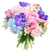 Shown against a crisp white background, this sumptuous bouquet appears almost to glow, its blend of pastel and jewel tones unfolding in gentle layers. At the core, light pink peonies open into generous, cloud-like blossoms, each one made up of countless softly ruffled petals that invite the imagination to trace their folds. Cradling these central blooms, clusters of powder blue hydrangeas provide a cool, calming base, their many tiny florets combining into a plush, cushiony texture that feels soothing to the eye. Dotted throughout are deep purple Vanda orchids, their broad petals and intricate darker speckles creating pockets of rich colour that lend the bouquet a distinctly luxurious, exotic note. Fuchsia pink calla lilies, with their sleek, trumpet-like shapes and slightly shaded centres, sweep through the design in elegant curves, introducing a contemporary sense of movement. Nestled between the larger flowers, petite blush pink spray roses add charming detail, their multiple small heads bringing a sense of intimacy and layered romance. Around the perimeter, silvery-green dusty miller with its velvety, soft-touch foliage is paired with darker, glossy leaves, framing and grounding the lighter tones within. The stems are gathered and tied at the base, visible and neatly aligned, clearly showing this is a hand-tied bouquet rather than a vase arrangement, as though just completed by a local florist preparing a delivery along Stanmore Hill or near Canons Drive. The overall mood is gently celebratory and deeply romantic, perfect for weddings, anniversaries, or thoughtful same-day flower gifts across Stanmore that aim to express love, appreciation, and quiet joy.
