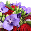 A richly saturated bouquet of purple Vanda orchids and deep red roses is captured in a close-up that feels both intimate and grand, like a floral love letter arriving at a Stanmore doorstep. The orchids are unmistakably the focal point, their wide petals shimmering in shades of lavender, violet, and rich plum, each patterned with fine, darker speckles and veins that lend an exotic, almost couture-like detail. Between these statement blooms, velvety crimson roses rise in tightly wound spirals, their full, layered petals suggesting passion, romance, and a reassuring sense of permanence. Accenting these main flowers, clusters of royal-purple lisianthus are tucked throughout the arrangement, some blossoms open and gently ruffled, others poised as slim, pale-lime buds that hint at tomorrow's unfolding beauty. The flowers are cocooned in lush emerald foliage, with glossy leaves and light chartreuse-green fillers providing a natural contrast that keeps the design lively and fresh, reminiscent of the calm greenery around Stanmore Country Park and the surrounding residential gardens. Soft, natural light from one side brushes over the arrangement, picking up subtle highlights on each petal and deepening the shadows between blooms, enhancing the dramatic interplay of cool purples and warm reds. The bouquet appears dense, carefully layered, and thoughtfully composed, suggesting it has been prepared for an anniversary dinner, a special birthday, or a romantic same-day delivery across HA7. It conveys celebration and heartfelt emotion, offering a sense of refined elegance and warmth that feels perfectly suited to life in and around Stanmore.