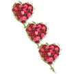 In this image, three generous heart-shaped floral pieces cascade diagonally across a spotless white background, each heart richly adorned with roses in deep reds and delicate pinks, and framed by trails of emerald-green ivy. The hearts begin in the upper left and descend towards the lower right, forming a soft, flowing line that evokes the passage of time, shared stories, and enduring affection. Within each heart, countless roses are nestled so closely that only flashes of green foliage peek through. The palette ranges from velvety dark crimson and lively scarlet to vivid fuchsia, warm coral, and pale blush pink. Some flowers are still tight and rounded, others are gently opening, while a number are in full bloom, their layered petals forming intricate spirals that give a feeling of fullness and abundance. The ivy winds gracefully around the edges, its leaves following the curves of the hearts and then stretching gently from one to another, creating slender, natural chains that imply unbroken bonds. The textures are rich and contrasting: soft petals, firm stems, and the cooler, slightly glossy surface of the ivy leaves. Illuminated by clear, even light, the colours appear true and vivid without harsh shadows. This arrangement feels particularly appropriate as a funeral or memorial tribute in Stanmore, perhaps placed near the coffin or at the front of a local chapel, offering a visual expression of love, gratitude, and remembrance. It suggests a careful, compassionate hand, like one from Flower Delivery Stanmore, where the florist understands how deeply these flowers will speak for the family they represent.