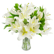 A generous bouquet of pristine white lilies fills the view, gathered into a clear glass vase and set against an immaculate white backdrop. Each trumpet-shaped bloom shows multiple broad, satiny petals-brilliant, luminous white with a whisper of creamy, yellowish-green deep in the throat-that catch the light like soft silk. From the centre of many open flowers rise long, graceful stamens with pale greenish-yellow filaments tipped by warm, earthy brown anthers, adding an intricate, tactile contrast against the pure petals. Glossy, lance-shaped leaves of deep verdant green are threaded throughout the massed blossoms, giving the arrangement a lush, sculptural fullness and a cooling visual counterpoint to the white flowers. Through the transparent vase you can see clear water and the pale green stems neatly trimmed and arranged, the stems refracting light and hinting at the lilies' freshness and careful handling. The overall composition reads as calm and refined; the scent would be softly floral and slightly sweet, the petals looking crisp to the touch. As a local Stanmore florist describing this piece to someone who cannot see it, I think of quiet moments at Stanmore Park and the respectful stillness of a chapel service-this bouquet carries that same dignity and serenity. It can read as a sympathetic tribute, a thoughtful gift of consolation, or an elegant centrepiece for a modest celebration. The neutral white background makes every contour and shadow of the lilies visible, emphasising their purity, texture, and the skilled, intentional placement that gives the display its gentle, uplifting presence.