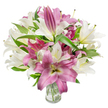 A lush, intimate bouquet of oriental lilies fills the frame, a careful study in pink and white that reads like a gentle poem. The arrangement sits in a simple clear glass vase whose transparency reveals neatly trimmed green stems and clear water, grounding the display in freshness. Creamy off-white lilies open wide, their trumpet-like petals revealing soft throats touched with pale yellow or a whisper of green; beside them, deep pink to fuchsia lilies unfold with velvety petals that sometimes show lighter veins or a creamy centre, creating a vivid, painterly contrast. Many blooms are fully open, exposing graceful stamens tipped with delicate anthers, while others remain tight, elongated buds that promise more flowers in the days ahead. Dark, lance-shaped leaves weave through the bouquet, their glossy, cool-green tones framing each blossom and lending a crisp, garden-fresh backdrop. The bright, even studio light-resembling a soft morning sun-caresses the petals, highlighting their silky texture and the subtle shadows where petals overlap, so the composition feels radiant yet tender. There's an implied scent in the image: a light, sweet perfume that suggests spring mornings and warm celebrations, making this bouquet suitable for birthdays, anniversaries, or a thoughtful Mother's Day gift. The overall effect is elegant and comforting, an arrangement that balances opulence with restraint. As a local florist might note while preparing an order for neighbours around Stanmore Broadway or Stanmore Station, the bouquet's mix of open blooms and buds promises longevity and quiet joy for the recipient, whether placed on a mantelpiece or a dining table to brighten a home.