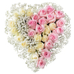 A full, rose-filled heart sits against a clear white background, its two-tone colouring quietly symbolising both remembrance and affection in a way that feels particularly suited to a Stanmore funeral or memorial. The heart is divided cleanly down the middle, with the left half made from a tightly arranged carpet of creamy white and pale-yellow roses. Each rose is positioned closely to its neighbours so that the blooms almost touch, creating an even, plush surface. The petals unfold softly from the centre in rounded spirals, their gentle tones suggesting purity, peace, and a calm farewell. On the right, an equally dense cluster of medium pink roses repeats the same structure, their slightly deeper hue evoking love, gratitude, and cherished memories. Throughout the heart, delicate sprays of bright white baby's breath are woven between the roses, with a particular concentration hugging the central joining line and tracing the edges all the way around. These tiny cloud-like flowers soften the contrast between the two rose colours and add a fine, airy texture to the composition. No greenery is visible, and the plain background ensures that the heart remains the single focal point, as it might when placed on a stand at a funeral in Stanmore, Edgeware, or nearby Harrow. The overall impression is one of understated beauty and thoughtful craftsmanship, offering a graceful way to send a message of enduring love and sympathy when words feel insufficient.