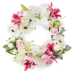 A beautifully composed circular funeral wreath is set against a bright white background, its open centre and unbroken ring of petals creating a serene, contemplative presence, perfect for a farewell gathering in Stanmore. The wreath is anchored by large white lilies, spaced evenly around the circle, their broad, satin-like petals fully open and slightly ruffled at the edges, revealing green pistils and softly glowing golden stamens. These tranquil blooms are paired with deep pink and magenta-fuchsia lilies, their star-shaped flowers and subtle speckling adding depth and richness, much like the colourful borders found in gardens around Stanmore Hill. Between these focal flowers, white gerbera daisies provide crisp contrast, their rings of slender petals radiating from dark, expressive centres that draw the eye. Soft light pink roses are threaded throughout the wreath, some still tightly furled, others gently opening, their velvety petals suggesting affection, remembrance, and grace. Creamy white roses, more fully opened and layered, contribute a sense of timeless love and classical beauty. To soften transitions and fill the structure, small white filler blooms-most likely mini carnations or spray chrysanthemums-are nestled into every available space, giving the wreath a dense, plush appearance. Around the blooms, a rich halo of green foliage frames the design, with varied leaf shapes and tones from deep emerald to fresh spring green creating a natural, garden-inspired backdrop. This open circular wreath, ideal for funerals, cremations, or celebration-of-life services in and around Stanmore, expresses condolences with quiet elegance and a sense of enduring connection, as though each flower has been placed with heartfelt thought and care.