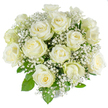 A carefully composed dome of approximately two dozen freshly opened white roses sits like a quiet celebration of light. Each rose shows the familiar spiral centre of a healthy bloom: inner petals a soft, creamy white that gently unfurl into brighter, crisp outer petals, their satiny surfaces catching a cool, diffuse light against a pristine white background. Fine, cloud-like sprays of baby's breath (Gypsophila) are threaded throughout, their tiny star-shaped florets forming a misty veil that softens the arrangement and introduces a lacy, weightless texture beside the roses' fuller, more substantial petals. Glossy deep-green foliage peeks through in measured amounts, giving the bouquet structural rhythm and framing the white tones so they read as both pure and grounded. There is a faint, classic rose perfume-clean and slightly sweet-that lifts when you lean in, conjuring early summer mornings in Stanmore near Canons Park and the gentle hush of Bentley Priory meadows. The round, tightly gathered silhouette is balanced and formal, suitable for a wedding altar or a quiet moment of remembrance, and its neutral palette makes it adaptable for christenings, anniversaries, or expressions of condolence. The arrangement is presented against a brilliant white backdrop that emphasizes the immaculate colour and simple elegance, revealing every petal edge and the airy negative space between blooms. As a florist who composes with restraint and respect, I aimed for serenity and timelessness here: a bouquet that reads as purity made visible, one that offers calm and quiet dignity whether placed on a mantelpiece in Stanmore Broadway or delivered to a family home nearby.