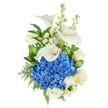A vision of serene elegance captured vertically against a pure white backdrop: a hand-crafted bouquet that balances cool blue and creamy white with verdant greenery. At its centre sits a dense, rounded dome of deep blue hydrangea-hundreds of tiny florets packed together to form a plush, textural focal point that reads like an inky summer cloud. Rising above and around that blue heart are three sculptural white calla lilies, their trumpet-shaped, waxy petals curving in graceful arcs to reveal the slim, bright yellow spadixes within. Interspersed through the composition are creamy white roses, each with layered, classic petals that soften the arrangement and lend a familiar, comforting shape. Vertical spikes of white stock or snapdragon provide height and an airy rhythm, their small clustered blossoms catching the light and leading the eye upward. The bouquet is held together by an assortment of lush foliage-broad glossy leaves giving deep contrast and feathery leatherleaf-like fronds adding delicate texture and movement. Soft, natural lighting emphasizes the crispness of the whites and the clarity of the blue, while a faint floral breath of sweet rose and green stock notes seems almost visible. The overall mood is one of dignity and calm: suitable for offering sympathy, marking an anniversary, or conveying quiet admiration. As an experienced florist in Stanmore, I picture this design placed by a window near Canons Park or sent to a neighbour on Stanmore High Street, its composition offering comfort and timeless beauty in equal measure.