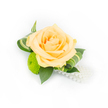 A single, handcrafted boutonniere rests against a clean white backdrop, its composition centred on a softly blushing peach rose whose tightly furled inner petals open outward into layers of creamy apricot and pale champagne. The rose's velvety surface catches bright, even light, revealing subtle gradients from a richer core to delicate outer edges. Nestled just beneath and to the left, a lime-green button chrysanthemum provides a playful, textural contrast - a compact sphere of tiny florets that feels almost mossy to the touch and lifts the colour palette into fresh spring tones. Deep green ruscus leaves form a structured base, their glossy planes grounding the arrangement, while slender variegated leaves with pale green stripes are expertly curled around the bloom to add movement and a contemporary flourish. From the lower right, a short cascade of luminous white faux pearls drapes softly, introducing vintage elegance and a tactile gleam against the floral forms. The entire piece is arranged with a gardener's restraint and a bridal stylist's eye: balanced, bright, and perfectly suited for pinning to a lapel or wrist. You can almost sense the faint sweetness of rose perfume mingling with green, leafy freshness, and the image's crisp lighting highlights every petal edge and bead. As a local Stanmore florist would prepare for a wedding near Canons Park or a prom heading toward Stanmore Broadway, this accessory feels intimate and celebratory - a small, refined promise of a special day carried close to the heart.