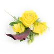 A hand-crafted corsage photographed against a clean white backdrop, where three sunlit yellow roses form the jubilant heart of the design. The central rose is fully open, a warm, buttery bloom flanked by two slightly smaller, half-open companions; each rose cradles a tiny clear faceted jewel at its centre, catching light like a small, discreet sun. Below this cheerful trio a single, sculptural calla lily in a deep plum to burgundy shade sweeps downward and to the left, its silky throat and curved silhouette providing a striking, sophisticated counterpoint to the roses. Soft, feathery asparagus fern weaves through the composition, its fine texture adding air and movement, while broader, glossy dark green leaves form a solid base that grounds the piece. Scattered among the foliage are petite white button chrysanthemums that lift the palette with creamy highlights, and a couple of closed green buds peek out at the lower right, suggesting life still unfolding. Behind the left-most yellow rose a whisper of sheer white lace-like material adds an ethereal, bridal touch without obscuring the flowers. The photographer's soft lighting emphasises the velvety petals, the gentle sparkle of each jewel, and the contrast between the luminous yellows and the moody plum calla. As a florist in Stanmore I imagine this pinned to a lapel or wrist for a wedding at Canons Park or an elegant prom near Stanmore High Street: it smells faintly of fresh rose and green foliage, feels light to the touch, and reads as joyful yet refined - a small wearable arrangement that captures both sunshine and depth for a special day.