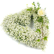 A serene, heart-shaped floral wreath composed almost entirely of cloud-like white Baby's Breath (Gypsophila), arranged with painstaking care so each tiny blossom reads as a soft, pearly texture across the whole form. The dense clusters of minute white flowers create a cushiony, weightless surface that softens every contour into a tranquil silhouette; from a short distance the gypsophila reads like freshly fallen snow or a pale, whispered cloud. Nestled gently at the right-hand curve of the heart sits a single creamy-white rose, its petals slightly unfurling in a classic spiral-an elegant focal point that lends quiet dignity and a whisper of fragrance amid the delicate spray of gypsophila. Around that rose, slender sprigs of eucalyptus-like foliage and glossy, lobed ivy leaves weave through the tiny blooms, their cool greens threading down the right side of the heart to add depth, natural movement, and a living counterpoint to the whites. The whole piece sits against a crisp white background, the studio light catching soft highlights on the rose's satin petals and revealing the airy translucence of each minuscule flower, while casting gentle shadows that emphasize the wreath's rounded volume. This composition reads as a tender expression of sympathy and remembrance-suitable for a funeral service, memorial setting, or a private tribute-where the purity of white and the single rose's presence speak of enduring love and respect. As a local florist might note, the restraint of materials and the tactile contrast between featherlight gypsophila and the rose's smooth bloom showcase careful craftsmanship, transforming grief into a calm, compassionate visual embrace.