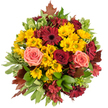 Top-down view of a lush, hand-gathered autumn bouquet arranged in a dense, circular cluster, photographed against a crisp white background so every colour and texture reads clearly. Bright golden-yellow button chrysanthemums form a sunny, perky carpet at the centre, their tiny petals catching soft, diffuse light and giving the arrangement an immediate sense of cheer. Scattered among them are flat-faced burgundy gerbera daisies, their deep, velvety disks and darker centers creating dramatic focal points that draw the eye across the composition. Rich, velvety roses-some a deep crimson red, others in gentle coral-pink and warm peach-add romantic depth and a tender softness where petals unfurl in tight, graceful spirals. Sprays of alstroemeria in cranberry and reddish-brown thread through the larger blooms, their star-shaped blooms and freckled throats adding fine texture and visual movement. The bouquet is cushioned and framed by abundant greenery: broad glossy leaves, feathery fillers, and a few pale-variegated leaves with creamy margins that brighten the overall palette. Interspersed at the edges are reddish-brown autumn leaves-maple-like lobes and oak-shaped silhouettes-that provide a rustic, woodland note and anchor the piece firmly in the season. The feel is warm, harvest-inspired and slightly nostalgic; you can almost sense a soft, faintly sweet scent with green undertones, like a late-summer morning slipping into fall. As a florist working in Stanmore, I imagine this arrangement on a cafe table near Stanmore Broadway or as a welcoming Thanksgiving centrepiece, offering comfort, gratitude and seasonal beauty in one harmonious composition.