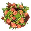 Seen from above against a clean white backdrop, this densely packed autumn bouquet feels like a small harvest caught in full bloom. At its heart sit many large, fully opened roses whose petals graduate from soft peach at the core to coral-orange and russet at the outer edges, their velvety spirals catching soft, diffuse light and inviting you to lean in. Scattered between the roses are clusters of glossy Hypericum berries, some a lively lime-green and others a creamy, pale yellow, their smooth, round forms offering playful punctuation among the blooms. Pockets of Green Trick dianthus-moss-like, intensely green and tactile-nestle close to the roses, creating plush, textural contrast that reads almost like woodland moss. Deep, rust-red leaves with lobed silhouettes are tucked throughout the design, their burnished tones grounding the palette and echoing the fallen foliage of Stanmore Common on a crisp autumn walk. Shiny broad leaves and varied green foliage fan out beneath the flowers, adding a lush backdrop that enhances the arrangement's sense of abundance. The overall effect is warm and comforting: a bouquet that smells faintly of rose and damp earth, suited to a cozy dining table, a harvest celebration, or a gift that says gratitude. As a local florist might note, this piece channels the colours of a late-October morning in Stanmore-muted sunlight, fallen leaves, and the gentle hush of suburban lanes-making it an ideal centrepiece for seasonal gatherings or as a thoughtful surprise for someone who loves the textures and tones of autumn.