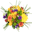 From a direct overhead angle, this bouquet appears as a compact, radiant circle of colour resting on a bright white background, its details crisp and easy to distinguish. At the core, plush yellow roses and full, rounded yellow chrysanthemums cluster together, creating a dense centre of sunshine tones that instantly sets a cheerful mood. Around them, orange gerbera daisies with deep, dark centres punctuate the design, their flat, daisy-like faces spreading outward like tiny solar flares, adding structure and visual rhythm. Tucked into the gaps, lime green button chrysanthemums form small, domed islands of vivid green, their tight, cushiony petals giving a gentle, textured contrast to the broader rose and gerbera petals. Threaded throughout, velvety purple lisianthus blooms and buds wind between the warmer colours, offering elegant, cool-toned accents that enrich the overall palette and create depth, much like shaded corners in the gardens around Canons Park in Stanmore. Here and there, clusters of glossy red hypericum berries rise above the petals, their smooth, bead-like forms shining softly and providing small points of intense colour. From the rounded edge of the bouquet, slim strands of bear grass stretch and curl outward, lending a sense of lightness and movement that keeps the composition feeling airy rather than dense. The bouquet feels both joyful and composed, the work of a skilled florist familiar with what local Stanmore customers love to send for celebrations and thank-you gifts. It is easy to picture this arrangement being delivered to a family home near Stanmore High Street or a cosy flat close to Stanmore Station, bringing with it an immediate sense of festivity, generosity, and bright, uplifting energy.