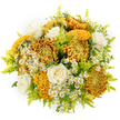 Set against a pristine white background, this radiant bouquet seems to capture the golden hour of an autumn afternoon, the kind of warm, gentle light that falls over Stanmore's parks and gardens. At the heart of the arrangement are expansive chrysanthemums in rich ochre, honeyed yellow, and deep bronze, their layered petals forming lush, spherical blooms with a soft, burnished glow. Among them are unusual cockscomb-style flowers in mustard and marigold tones, their rippling, brain-like textures adding both visual intrigue and a velvety depth that anchors the composition. Creamy white roses are scattered throughout, each bloom gently opening in elegant spirals that bring a pure, timeless grace and hint at a subtle, classic fragrance. Tucked between the larger stems are clusters of tiny white daisy-like blossoms-reminiscent of feverfew or chamomile-whose delicate petals frame bright yellow centres, adding a playful, meadowy note and a sense of innocence. Fine sprays of lime-green foliage, similar to solidago, peek out from different angles, lending lightness, height, and a fresh, zesty counterpoint to the warmer hues so the bouquet feels uplifting rather than heavy. The design is rounded and full, with flowers placed at slightly varied heights to create gentle movement and a natural, hand-gathered look, as if just finished on the workbench of a local Stanmore florist. With no vase in sight, the viewer's focus rests entirely on the interplay of colour, texture, and shape under the soft, even lighting. Perfect for sending comfort, encouragement, or congratulations, this arrangement radiates warmth, tenderness, and the quiet joy of sharing something beautiful with someone you care about.