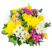 The photograph displays a joyful, garden-style bouquet made up of yellow, white, and purple blossoms, arranged in a compact, rounded cluster on a plain white backdrop. Dominating the composition are plush yellow chrysanthemums, whose densely layered petals give each flower a soft, cushion-like appearance, radiating warmth like late-afternoon sunlight over Stanmore's open green spaces. Tucked among them, small yellow spray roses offer a more delicate texture, their buds and half-open blooms revealing intricate spirals of petals that hint at a gentle, sweet fragrance. Dotting the bouquet are white daisy chrysanthemums with bright green centres, their crisp, symmetrical petals lending an airy, uplifting quality, like a fresh breeze drifting through a Stanmore garden after rain. Threaded throughout, rich magenta and deep purple daisies bring a striking contrast, their golden centres mirroring the yellow tones nearby and creating a lively conversation between the colours. Here and there, faint touches of pastel pink or lavender petals soften the transitions, adding a tender, almost nostalgic note. A generous ring of glossy dark green foliage encases the flowers, the smooth leaves arching outward to provide structure and a lush, full silhouette, suggesting the bouquet has been thoughtfully hand-tied by an experienced local florist. The lighting is gentle and even, revealing the fine textures of each petal and leaf without distraction. Overall, the arrangement conveys an accessible elegance and bright positivity, perfect to imagine as an affordable birthday surprise, a get-well gesture, or a simple way to send a little burst of happiness to someone in Stanmore through same-day flower delivery.