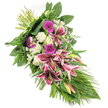Against a crisp white backdrop, this elongated sympathy arrangement forms a gentle diagonal from upper left to lower right, its shape reminiscent of a cascading teardrop that speaks softly of farewell. At the centre of the spray, several large Stargazer lilies open their vivid fuchsia and deep pink petals, each bloom edged with bright white and flecked with fine burgundy spots that add depth and drama. A few lily buds, blushed with pink and green, stand poised among them, suggesting the quiet unfolding of memories over time. Interspersed with the lilies are rich magenta gerbera daisies, their bold, rounded blooms lending warmth and an affectionate note, while clusters of white roses, from tight buds to gently opening flowers, evoke purity, honour, and respect. Soft, ruffled white carnations nestle between the larger flowers, their texture like folded fabric, adding a soothing, cloud-like softness. Tiny white daisy-like fillers are scattered delicately throughout, filling small gaps with light and intricate detail. The arrangement is wrapped in a generous collar of greenery: broad, glossy dark green leaves provide structure, feathery fern fronds bring airy movement, and long, slender leaves arc down towards the bottom right, accentuating the cascading form. The stems are neatly bound at the top left, evidence of careful hand-tying by a skilled Stanmore florist, perhaps preparing this tribute for a funeral at a local church or a memorial near Canons Park or Stanmore Country Park. The mood is calm, respectful, and deeply consoling, making this spray a fitting floral expression of sympathy and remembrance for families throughout Stanmore.
