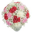 Celebrating both texture and gentle colour, this bouquet offers a visual and sensory journey through the serene corners of Stanmore. At its centre, plush carnations glow in shades of confident red, soft blush pink, and creamy white, each petal layered in ruffles reminiscent of luxurious fabric. Around these vibrant hearts, Baby's Breath creates a gauzy halo-a mist of tiny white blossoms that brings lightness, echoing cool early mornings by Stanmore's Bentley Priory. The arrangement rests in a clear glass vase, enhancing its sense of freshness and amplifying the natural beauty of every bloom. The finished effect is elegant yet inviting, a perfect expression for birthdays, anniversaries, or any time you wish to convey warmth and genuine celebration. Each flower feels chosen with care, collectively offering a snapshot of Stanmore's subtle grace and the welcoming spirit that defines its floral community.