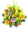 Against a clean white background, this lush, mounded bouquet reads like a sunlit garden gathered into a single composition. Tall yellow Asiatic lilies reach upward-some fully open with their speckled, waxy petals and visible stamens, others elegant chartreuse buds promising another bloom-adding verticality and a soft, sweet perfume. Bright orange Gerbera daisies punctuate the mass with flat, radiating petals and dark centers that draw the eye, while soft lavender-purple roses, their petals spiralling inward, offer a cool, romantic counterpoint. Pockets of lime-green button chrysanthemums or cushion blooms build plush, ruffled volume; their tightly packed florets give a mossy texture that cushions the bolder flowers. Scattered among these are small globe-shaped orange and golden-yellow accent blooms-Craspedia-like spheres or tiny thistle heads-that add playful, prickly dots of colour. Distinctive blue-grey sea thistles (Eryngium) poke through from the sides and lower edges, their starry bracts and metallic tones providing an architectural, cool contrast to the warm palette. A variety of glossy and matte foliage-broad lily leaves, rounded filler leaves and delicate sprigs-frames and unifies the arrangement, creating depth and a sense of organic abundance. Soft studio light highlights the petals' textures and casts gentle shadows that emphasize the bouquet's full, rounded silhouette. This arrangement feels celebratory yet thoughtful: suited to birthdays, thank-yous, or sympathy, and perfect for brightening a mantel or dining table in a Stanmore home near Stanmore Common. The overall effect is one of handcrafted warmth and seasonal freshness, inviting close inspection and the quiet pleasure of scent and colour.