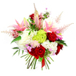 In this photograph, a vibrant, hand-tied bouquet stands out dramatically against a clean white background, every flower and leaf intentionally placed to create balance and harmony. At the core of the arrangement are rich crimson roses, with velvety, tightly layered petals that evoke deep affection and timeless romance. These are interwoven with pink lilies, some open wide in a star-like display that reveals their softer, blushed centres and pollen-tipped stamens, while others remain in smooth, closed buds, suggesting a slow unfurling of colour and scent over the coming days. Cushioning these hero blooms are voluminous clusters of ruffled white flowers-reminiscent of lush hydrangeas or full carnations-that bring lightness and a billowing, cloud-like texture. Adding a striking modern note, a spherical tuft of bright lime green dianthus or Green Trick carnation sits near the centre, its fine, frilly surface catching the eye and echoing the fresh greens seen in well-kept Stanmore gardens. Soft, feathery sprigs of pale pink astilbe drift upward and outward from the main body of the bouquet, creating a gentle halo and an almost misty effect, like a soft evening haze over Stanmore Country Park. Dotted between the larger blooms, small clusters of fuchsia and lavender filler flowers lend lively pops of saturated colour and visual interest. Dark, glossy foliage is threaded throughout, grounding the bright palette with natural depth. The stems are neatly aligned and finished with a slim deep red satin ribbon at the base, highlighting the hand-crafted nature of the design. The bouquet feels jubilant yet refined, perfectly suited for same-day delivery across Stanmore for birthdays, anniversaries, romantic moments, or any occasion that calls for a generous, uplifting floral gesture.