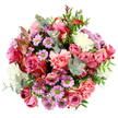 An artfully arranged, round bouquet is seen from above, every element crisp against a clean white background that highlights its romantic mix of colour and texture, as if displayed in a Stanmore florist's window. At the centre, several large roses in rich fuchsia and gentle blush pink open fully, their velvety petals overlapping in tightly layered spirals, some petals softening to creamy, almost porcelain edges that catch the light. Nestled around these roses, peach-pink carnations bloom in frilled layers, adding a plush, cushion-like texture and a warm, welcoming feel. Interwoven throughout, daisy-like chrysanthemums in a cheerful lavender-purple, with striking lime-green centres, lend the design a playful burst of colour, suggesting the easy joy of flowers seen in local gardens near Canons Drive. Cream and off-white blooms peek out here and there between the stronger tones, keeping the palette light and airy, so the bouquet feels elegant rather than overpowering. The arrangement is laced with a variety of foliage: rounded, silvery eucalyptus leaves that introduce cool blue-green notes and a suggestion of refreshing scent; deeper green leaves that provide structure, depth, and contrast; and slender, reddish-pink variegated leaves that echo the roses' richer shades, adding a contemporary, slightly dramatic twist. Soft, even lighting enhances the natural beauty of each flower and leaf, with subtle shadows suggesting gentle daylight filtering through a Stanmore window. This bouquet would be ideal for same-day delivery to celebrate a birthday, an anniversary, or to brighten someone's day, conveying affection and thoughtful care with every bloom.