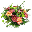 Set against a clean, white background, this luxurious hand-tied bouquet is shown in full, every bloom and leaf clearly defined, as though it has just been prepared for same-day delivery across Stanmore. At its centre, generous roses in soft peach and warm apricot tones unfurl in layered spirals, each petal curling gently outward to create a sense of warmth and affection. Around them, Gerbera daisies in deep magenta and dusty rose offer bold, daisy-like faces, their bright yellow and orange centres lending a cheerful spark that recalls sunshine over local gardens near Stanmore Station. Rising confidently near the top of the design, a striking protea serves as the focal point, its tall, tapered cone lined with firm bracts in reddish-brown and maroon shades, bringing a touch of the exotic and a strong, tactile contrast to the softer petals nearby. Nestled throughout the bouquet are numerous clusters of lime-green button chrysanthemums, their neat, spherical forms and tightly packed petals giving a playful, cushion-like texture that brightens the entire composition. Surrounding all the blooms is an abundance of greenery: broad, gleaming leaves, fine, arching blades, and airy stems of eucalyptus that introduce fresh, silvery tones and an impression of light woodland air. The stems are carefully bunched and tied at the base, unmistakably hand-tied, ready to slip into a clear or ceramic vase in a Stanmore hallway or lounge. With its warm palette, varied forms, and lush foliage, this bouquet conveys a feeling of generous celebration and calm sophistication, perfectly suited to birthdays, anniversaries, or a heartfelt gesture to someone along The Broadway or near Stanmore Country Park.