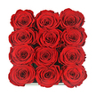 Captured from a bird's-eye view, this arrangement shows twelve exquisite red roses laid out in a symmetric 3-by-4 grid, filling their dark square box so completely that almost no background is visible. Each rose is a masterpiece of velvety petals, layered in tight, spiralling whorls that invite the eye to trace their curves from the shadowed centre to the softly lit outer edges. The blooms sit shoulder to shoulder, creating a dense, continuous surface of deep crimson that feels both passionate and controlled, like a carefully held emotion. Just a narrow, gleaming line at the bottom reveals the presence of the sleek container, suggesting a luxurious presentation box chosen with care. Gentle, balanced lighting enhances the sumptuous texture of the petals and reveals subtle variations of ruby and garnet tones, bringing a sense of movement and life to the static grid. This is the kind of arrangement that might arrive at a doorstep in Stanmore after a quiet journey along The Broadway or through the leafy streets near Stanmore Hill, intended to mark an anniversary, Valentine's Day, or a heartfelt apology. You can picture it opened in a home close to Stanmore Country Park or near Whitchurch Lane, the intense red instantly transforming the room's atmosphere. The image conveys an elegant, modern vision of romance: focused, intentional, and beautifully composed, allowing the simple power of a dozen perfect roses to speak for itself.