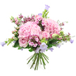 Against a bright white background, this hand-tied bouquet of hydrangeas, roses, and bellflowers looks like a soft pastel sculpture, carefully crafted for someone in Stanmore who loves gentle, romantic flowers. Two large, dome-shaped heads of blush pink hydrangea create the central structure, each composed of innumerable tiny petals that fold over one another to form fluffy, rounded mounds. Woven through these are light pink roses, some fully opened to reveal their intricate spiral centres, others kept in graceful bud form, adding variety in shape and a sense of emerging beauty. Sprouting from between the roses and hydrangeas are slender stems of bell-shaped blooms in lavenders and muted purples, likely campanula, which lift the eye upward and lend an airy, almost dancing quality, reminiscent of flower borders in gardens around Stanmore Hill and nearby residential streets.   

To enrich the colour palette, the florist has included small clusters of deeper fuchsia and vivid pink filler flowers, perhaps waxflower or phlox-like sprays, which add fine-grained texture and subtle bursts of intensity. A generous layer of fresh green foliage surrounds and supports the blossoms, its varied leaves giving the bouquet a natural, freshly gathered character, suitable for same-day delivery across Stanmore, Belmont, and nearby areas. The stems at the bottom are neatly collected and tied, their cut ends aligned to emphasise the handcrafted, ready-for-a-vase design. Overall, the bouquet conveys tenderness, joy, and gratitude, making it perfect for celebrating birthdays, anniversaries, or simply sending a comforting message of love and appreciation to someone special in the local community.
