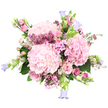 A romantic pink bouquet is presented against a white background, every bloom carefully placed to create a sense of softness and abundance that feels perfectly at home in Stanmore's calm, residential streets. At its centre, three generous heads of pale pink hydrangea form plush, rounded clouds of petals, providing a gentle, voluminous base. Around them, blush roses in different stages of opening add elegance and depth: some blossoms are fully unfurled, revealing precise spirals of velvety petals, while others are more tightly closed, adding a hint of anticipation and delicacy. Between these larger flowers, clusters of deep pink waxflower weave intricate trails of tiny, star-shaped blooms, giving subtle texture and a richer, more vivid note of colour. Complementing them are scattered sprigs of smaller, five-petalled pink flowers, which blend the hues together and maintain a soft, cohesive palette. From the edge of the bouquet rise slender stems of campanula in cool lavender and periwinkle tones, each bell-shaped flower leaning outward like a quiet echo of blue sky over Stanmore Common. Green foliage, both in broad hydrangea leaves and lighter, more delicate stems, peeks through at different angles, framing the blossoms and adding a sense of fresh movement, as if the bouquet were just arranged moments ago. The overall impression is one of serene celebration and tender emotion, suitable for a thoughtful anniversary gift, a welcome-home surprise, or a gentle gesture of support, delivered to doorsteps across Stanmore and the surrounding neighbourhoods.