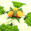 This image shows a carefully crafted floral cross that would feel perfectly at home at a memorial or funeral service in Stanmore, offering comfort through both colour and form. The main body of the cross is entirely covered in white chrysanthemums, so close-packed that they form a plush, cushion-like surface. Their layered, fringed petals create gentle ripples of texture across the design, evoking purity and peace. Along the perimeter and in balanced sections across the arms, rounded mounds of vivid green button chrysanthemums provide contrast; their tight, spherical heads lend a fresh, mossy appearance, like small patches of greenery seen in the quieter corners of Stanmore's residential gardens. At the exact centre where the arms of the cross meet, three roses in warm orange and golden tones are arranged as the focal point. Each rose is open and velvety, its petals swirling out from the heart of the bloom in rich layers that suggest warmth, love, and remembrance. These are surrounded by clusters of small green filler and buds, with graceful fern-like leaves arching from behind to soften the transitions between colours and shapes. The palette of green, white, and orange subtly echoes the Irish tricolour, making this arrangement especially suitable for honouring Irish heritage while remaining universally appropriate for Christian services. The lighting is clear and even, bringing out the brightness of the whites and greens while allowing the central roses to glow gently. Overall, the cross communicates dignity and tenderness, reflecting the kind of care and attention to detail that families in Stanmore look for when choosing a floral tribute to accompany a final goodbye.
