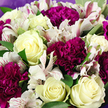 The bouquet in this photograph appears as a dense, beautifully composed cluster of blooms, filling the entire frame so that only flowers and foliage are visible. Dominating the arrangement are creamy white roses, their petals layered in tight, spiral formations that gradually relax outward into rounded, velvety edges. A gentle hint of pale yellow at the centre of some roses adds a warmth that recalls soft morning light across Stanmore's quiet streets. Balancing this softness are striking clusters of deep magenta and rich purple carnations. These blossoms are built from many small, ruffled petals packed closely together, giving them a plush, textured look, like luxuriously crinkled fabric. Threaded throughout, white alstroemeria bring a light, airy contrast. Their long, slender petals are delicately patterned with fine raspberry-pink streaks and scattered burgundy specks, lending each flower a sense of intricate detail, as if individually painted. Smooth, deep green leaves weave among the blooms, offering structure and contrast, their glossy surfaces catching subtle highlights. Around the outer edges, a soft lavender wrapping is just visible, its subdued colour quietly echoing the carnations' purple tones and gently holding the bouquet together. The lighting is even and natural, allowing the interplay of cream, magenta, green, and lavender to feel calm and inviting. Overall, the arrangement conveys a blend of elegance and heartfelt warmth-perfect for marking a birthday, sending thanks, or simply brightening someone's home in Stanmore, whether they live close to The Broadway, near Stanmore Golf Club, or in the peaceful residential roads that give the area its village-like charm.