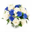 A serene blue and white sympathy arrangement rests in a clear glass vase, photographed from a slightly elevated angle against a clean white background that allows every blossom and texture to be seen clearly, as though it has just been placed in a peaceful Stanmore home. The bouquet is densely arranged into a rounded dome, giving an impression of fullness and care. Deep royal blue roses punctuate the design, their velvety petals layered in rich, saturated tones that bring emotional depth, much like the stillness of the skies over Stanmore Golf Course at dusk. Encircling and intertwining with them, creamy white and ivory roses gently unfurl, their soft, curled petals catching the light and providing a soothing contrast. Threaded delicately through the roses, white freesia add a lighter touch, with slender stems and trumpet-shaped flowers that suggest a faint, fresh fragrance. Tiny sprigs of white gypsophila - baby's breath - are scattered between the larger blooms, filling space with a airy, cloudlike softness that enhances the bouquet's gentle character. Dark green foliage appears at the base and edges, supporting the blossoms and adding a quiet, natural depth that recalls the leafy streets around Belmont Circle. The cylindrical glass vase reveals the trimmed stems placed neatly in clear water, its ribbed base catching small glints of light and grounding the composition. The overall mood is one of calm remembrance and understated elegance, the kind of blue and white floral tribute a family in Stanmore might choose to express sympathy, honour a loved one's memory, and bring a touch of peaceful beauty during a time of grief.