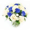 This photograph features a beautifully balanced condolence bouquet presented in a simple, unadorned glass vase, set before a pristine white background that allows the floral colours and textures to stand out clearly. The arrangement has a rounded, carefully structured silhouette, composed of an equal mix of deep royal blue roses and soft, creamy ivory roses. The blue roses are richly toned, their velvety petals folding inward to form serene, shadowed centres that speak of reverence and memory. The ivory roses open more broadly, each bloom layered with supple petals that catch the light and offer a sense of gentle reassurance and calm. Between these roses, white freesia stems weave delicately, bearing multiple trumpet-shaped blossoms that arc outward and add a feathery lightness, as if a quiet breeze from Stanmore Common had touched them. Finely textured sprays of baby's breath are interlaced throughout, their many tiny white flowers forming a soft halo that blurs the distinction between blue and cream, lending the bouquet a misty, almost ethereal quality. Dark green leaves nestle at the base and between blooms, providing a rich backdrop that anchors the cooler tones and gives the design structure. Through the transparent vase, you can clearly see the neat, green stems resting in fresh water, reflecting the care and precision of a Stanmore florist experienced in preparing sympathy flowers for local homes and services. The overall impression is one of composed serenity and heartfelt empathy, making this arrangement a fitting choice for expressing condolences or offering quiet support during times of mourning.